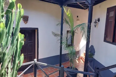 Gîte indépendant piscine privée à Icod de los Vinos : photo 9