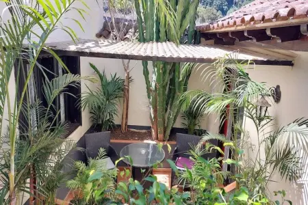 Gîte indépendant piscine privée à Icod de los Vinos : photo 13