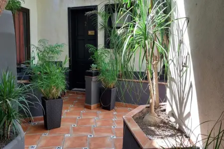Gîte indépendant piscine privée à Icod de los Vinos : photo 18