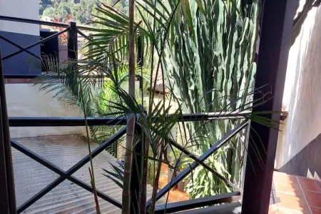 Gîte indépendant piscine privée à Icod de los Vinos : photo 20