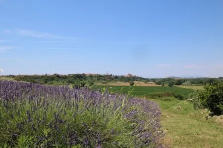 Lavanda, gîte rural 2 personnes à 3 km de la plage : photo 20