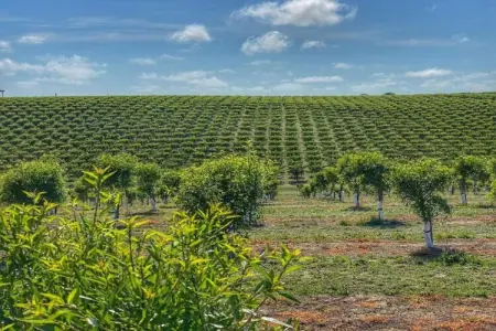 Lavanda, gîte rural 2 personnes à 3 km de la plage : photo 35