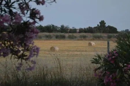 Lavanda, gîte rural 2 personnes à 3 km de la plage : photo 40