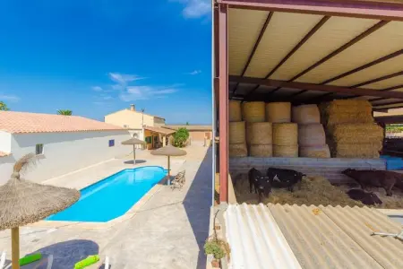Location chalet de vacances à Campos, Illes Balears