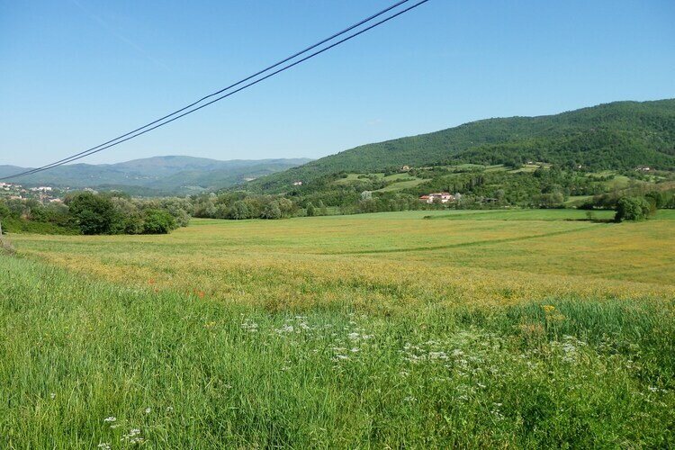 Nonno Raoul – Gîte 4 pers. avec piscine en Toscane - Photo 26