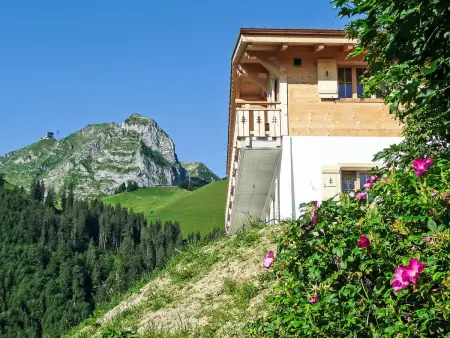 Location chalet de vacances à Moléson sur Gruyères