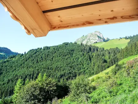 Chalet La Poya, Chalet 6 personnes à Moléson sur Gruyères - Photo 21
