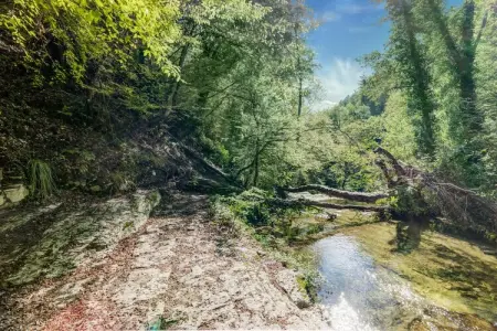 Mulino, gîte moulin du XVIIe siècle à Roccafluvione : photo 29
