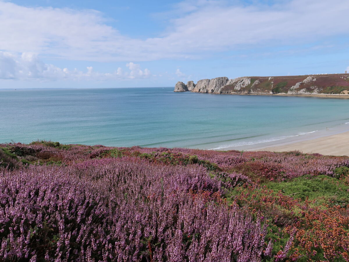 Le Pigeonnier – maison rénovée à 800 m de la mer, Roscanvel - Photo 28