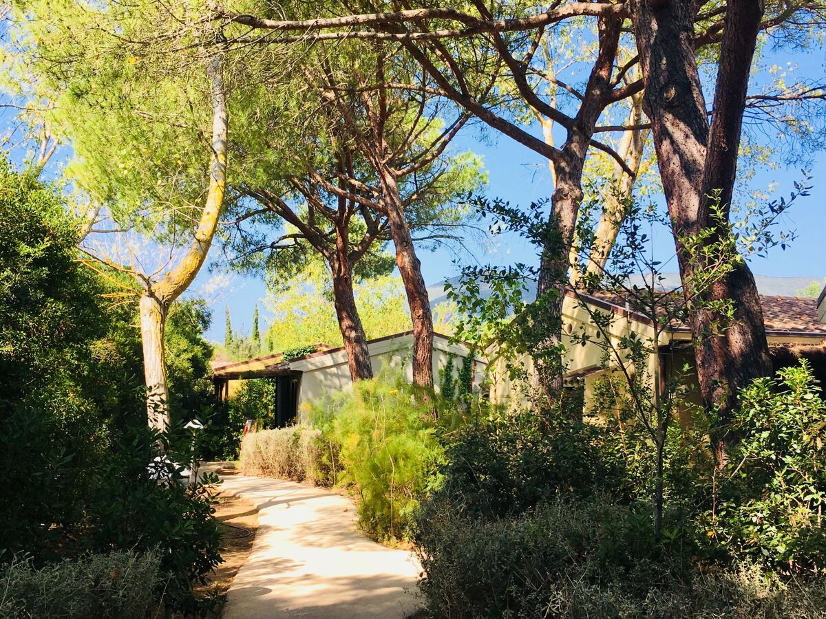 Cottage Tipo C - Castiglione della Pescaia, 4 pers. - Photo 18