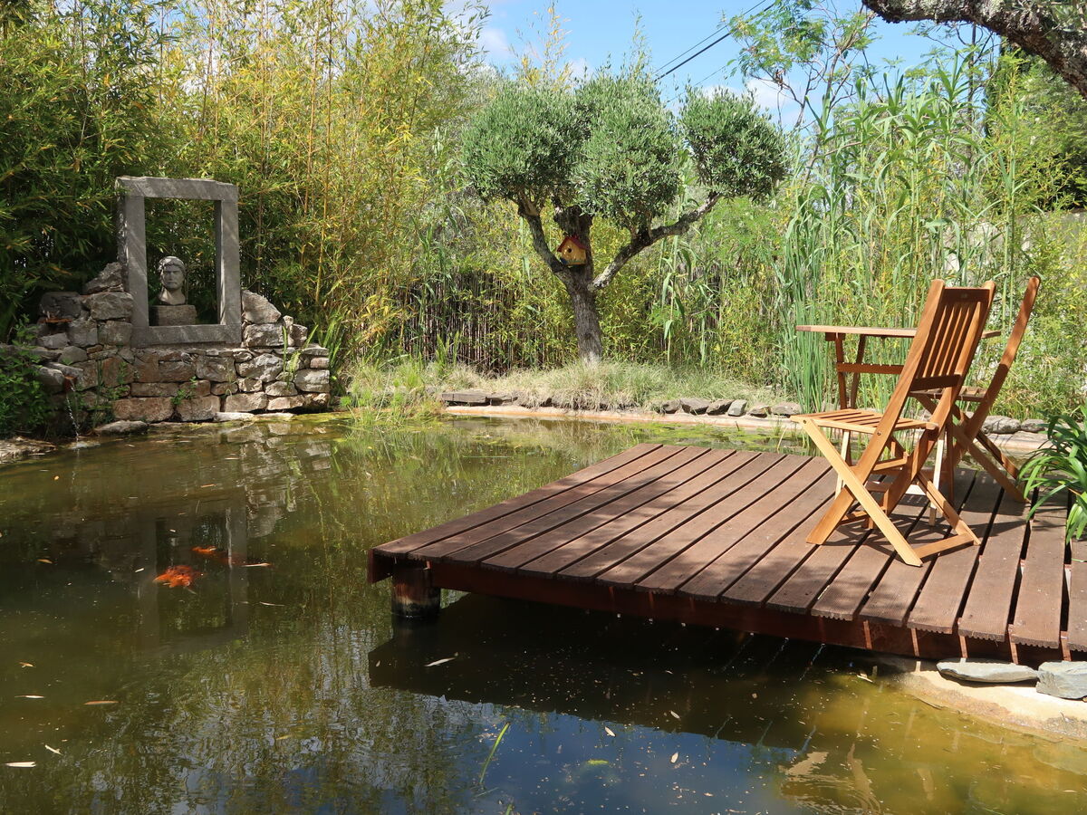 Quintal das Oliveiras – Maison 6 pers. avec piscine - Photo 5