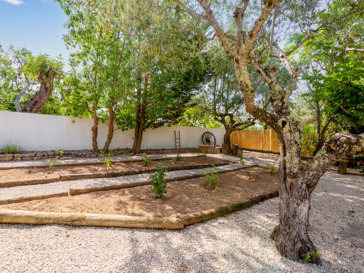 Quintal das Oliveiras – Maison 6 pers. avec piscine - Photo 30