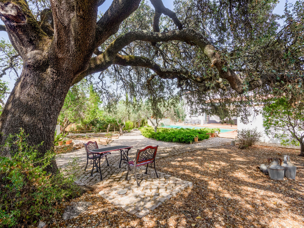 Quintal das Oliveiras – Maison 6 pers. avec piscine - Photo 31