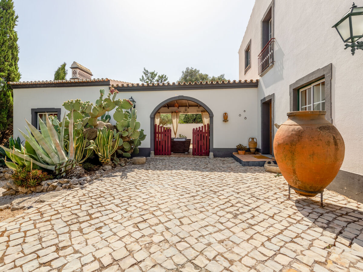 Quintal das Oliveiras – Maison 6 pers. avec piscine - Photo 34