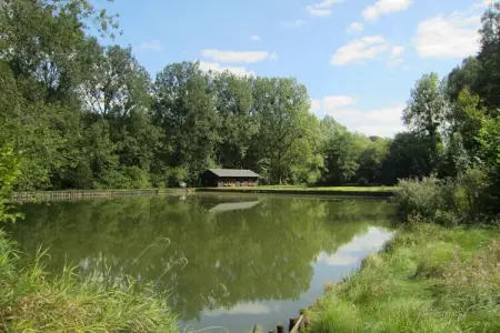 Les Peupliers de la Pêcherie – Maison 4 pers. avec étangs : photo 7