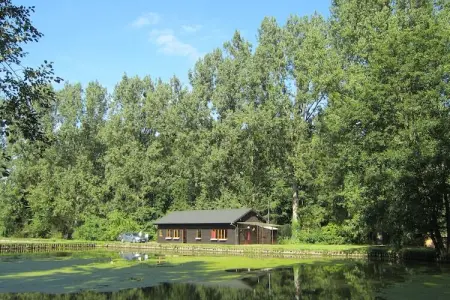 Les Peupliers de la Pêcherie – Maison 4 pers. avec étangs : photo 10