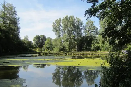 Les Peupliers de la Pêcherie – Maison 4 pers. avec étangs : photo 29
