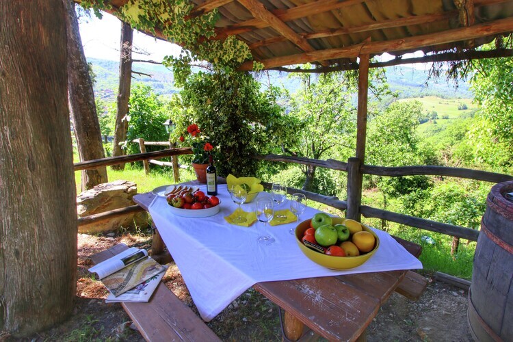Nonno Raoul Primo, gîte 6 pers. en forêt toscane - Photo 10
