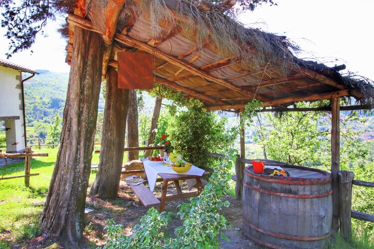 Nonno Raoul Primo, gîte 6 pers. en forêt toscane - Photo 26