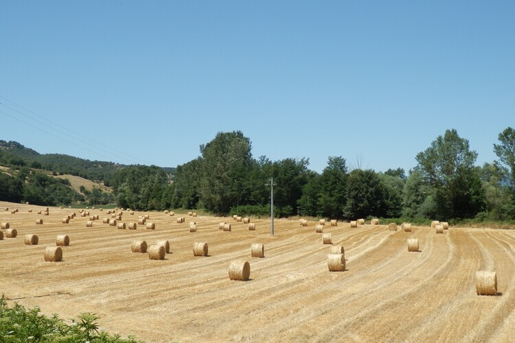 Nonno Raoul Primo, gîte 6 pers. en forêt toscane - Photo 37