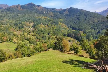 Bellavista Primo, Maison de vacances à Ortignano - Photo 38
