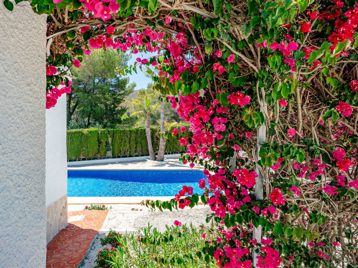 Maison Adsubia Toscamar avec piscine privée à Javea - Photo 42