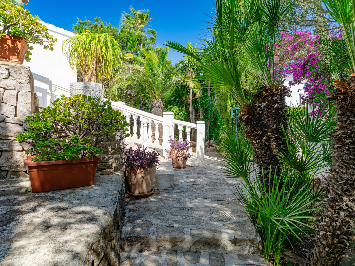 Villa Karima – vue mer, piscine 12 m et jardin 1 000 m² - Photo 42