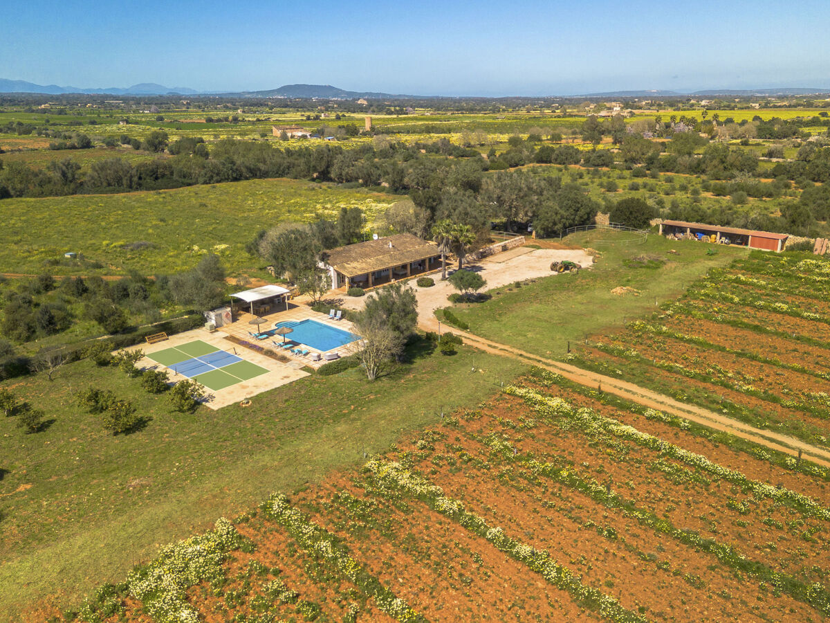 Can Soler, maison 6 personnes avec piscine privée - Photo 43