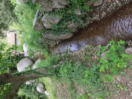 Chassezac, Location Maison 3 personnes à Les Vans - Photo 27