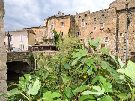 La Maison du Figuier à Saint Montan, 2 chambres - Photo 31