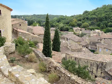 La Maison du Figuier à Saint Montan, 2 chambres - Photo 32