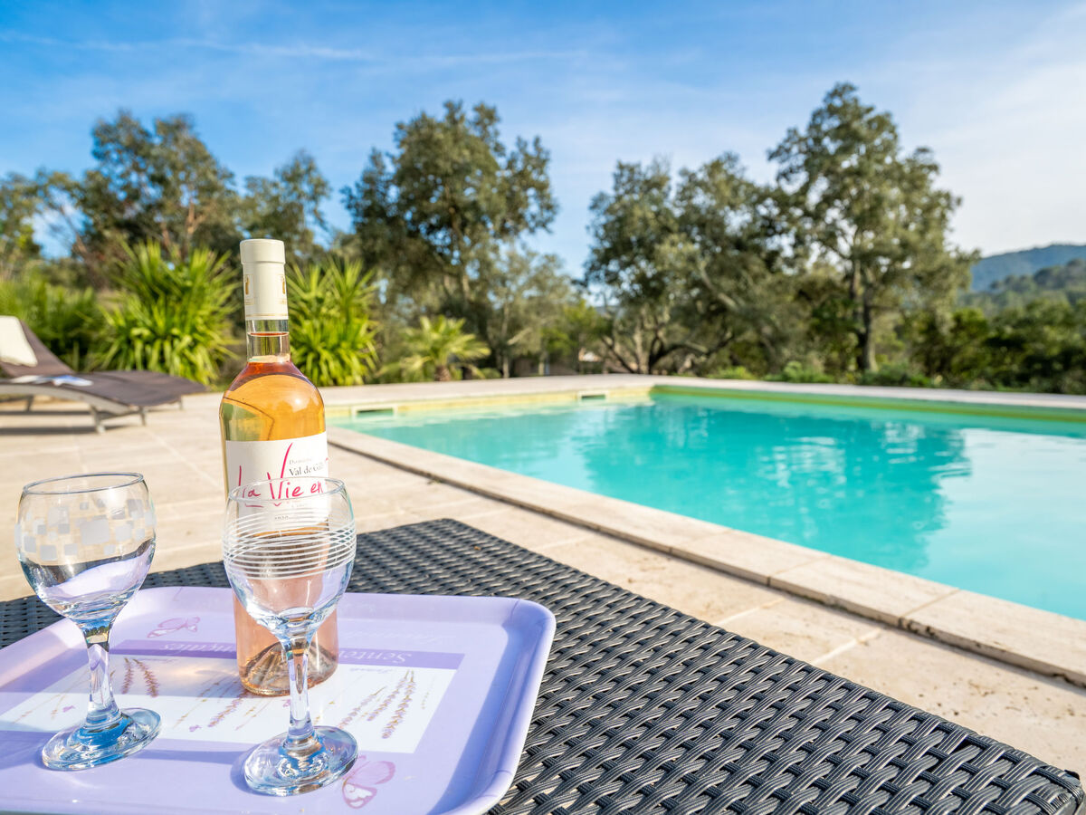 Maison Serapias - 9 pers., piscine et 10 000 m² à Cogolin - Photo 3