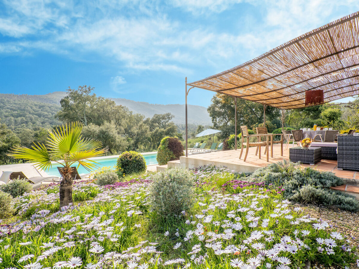 Maison Serapias - 9 pers., piscine et 10 000 m² à Cogolin - Photo 38