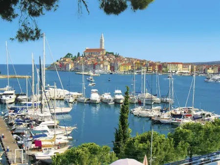 Paula, maison 6 pers. avec piscine privée à Rovinj : photo 43