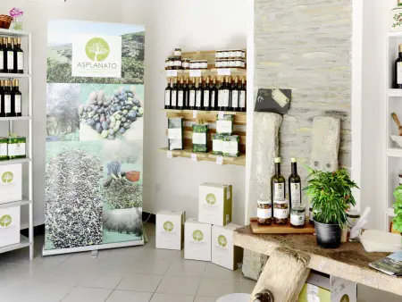 Asplanato, appartement rénové en agrotourisme à Dolcedo - Photo 21