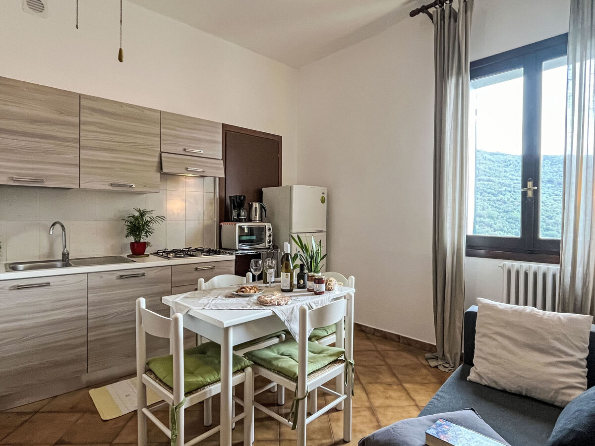 Asplanato : appartement rustique en agrotourisme, Dolcedo - Photo 3