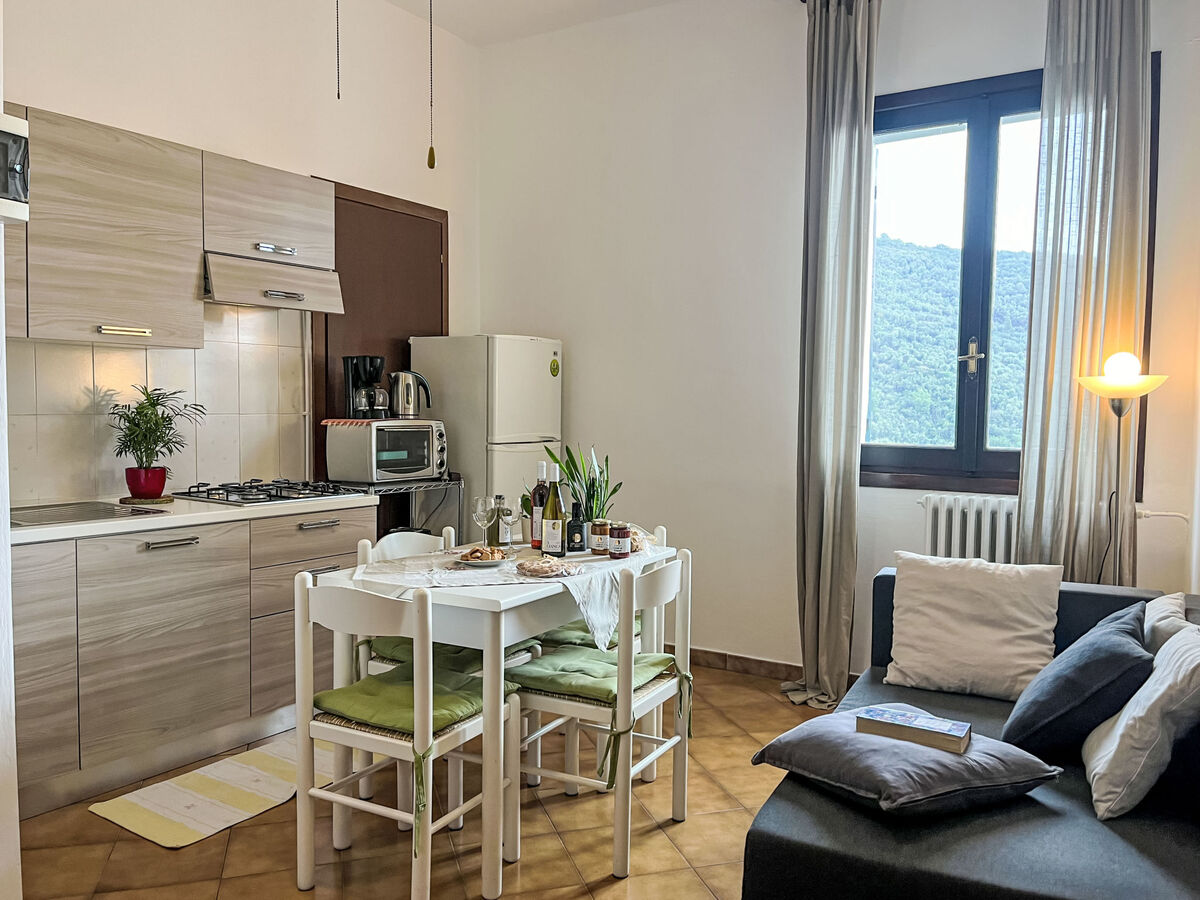 Asplanato : appartement rustique en agrotourisme, Dolcedo - Photo 9