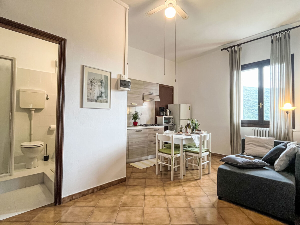 Asplanato : appartement rustique en agrotourisme, Dolcedo - Photo 12
