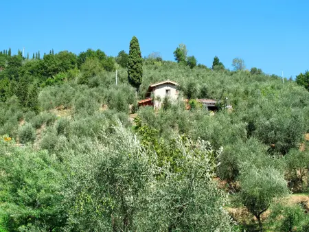 Iacopo, Gite 4 personnes à Montecatini Terme - Photo 29