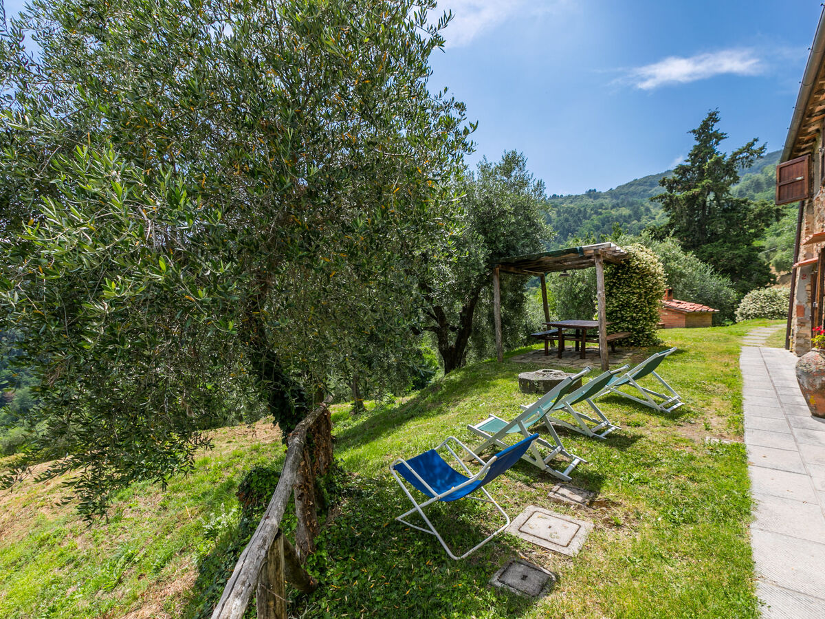 Casetta di Zano – Maison 6 pers. à Pescia - Photo 35