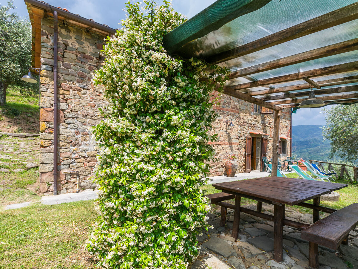Casetta di Zano – Maison 6 pers. à Pescia - Photo 40