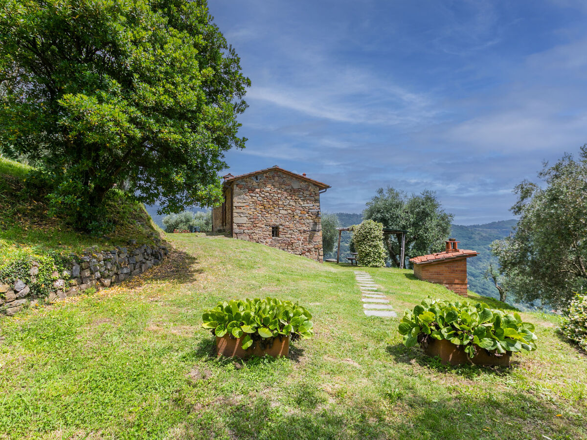 Casetta di Zano – Maison 6 pers. à Pescia - Photo 43