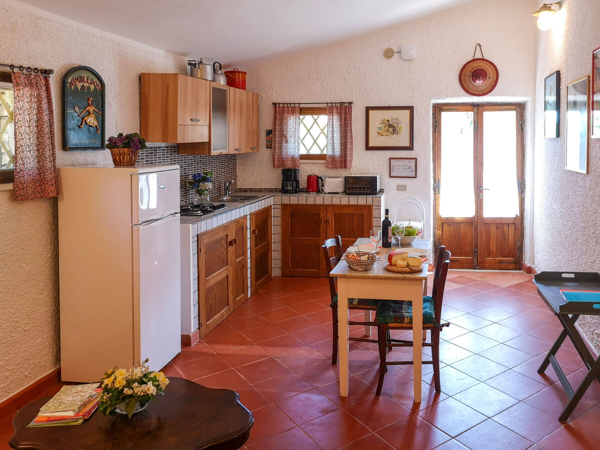 Maison Triangolo – Ferme toscane à 12 km de Sienne - Photo 5