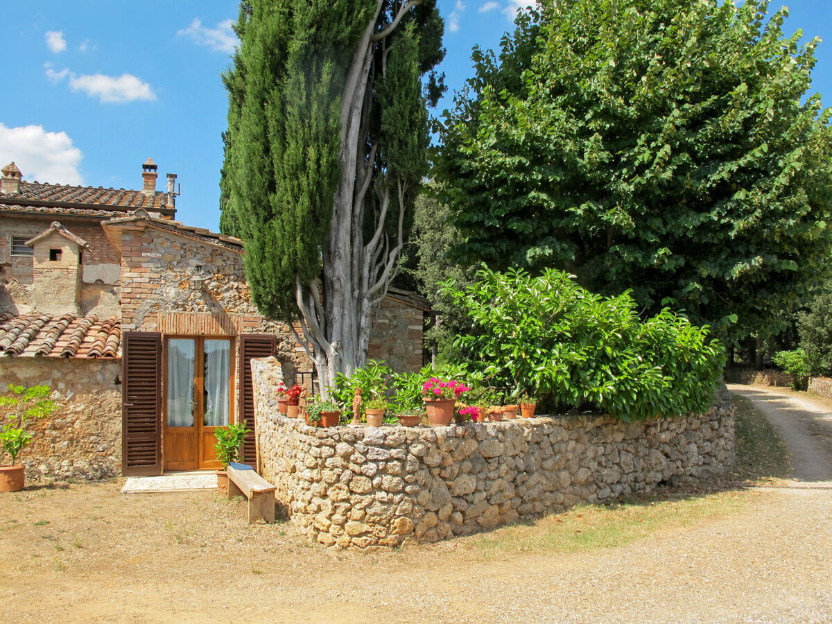 Maison Triangolo – Ferme toscane à 12 km de Sienne - Photo 17