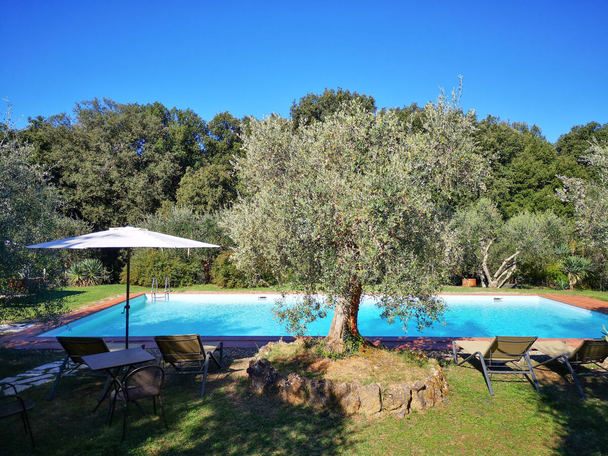 Maison Triangolo – Ferme toscane à 12 km de Sienne - Photo 20