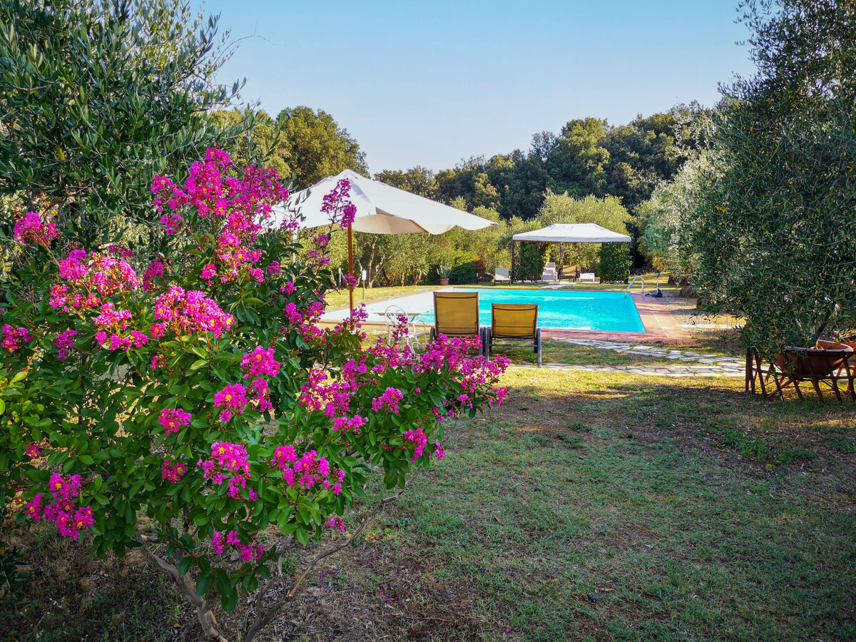 Maison Triangolo – Ferme toscane à 12 km de Sienne - Photo 23
