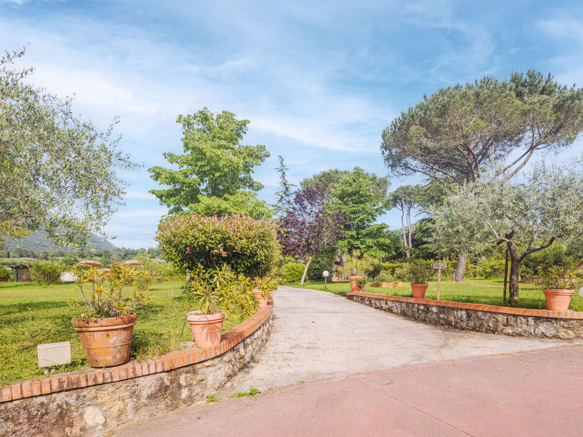 Verde Versilia – Maison 6 pers. piscine à Camaiore - Photo 35