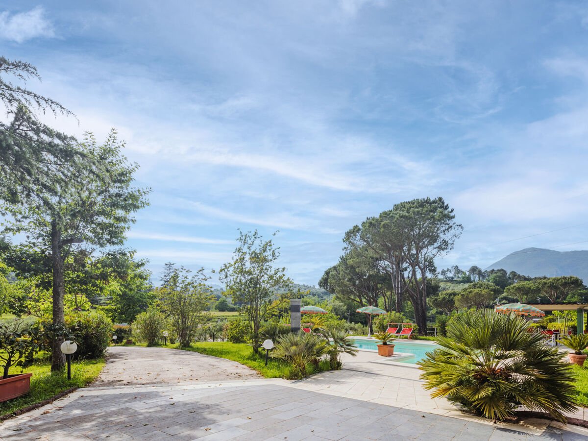 Verde Versilia – Maison 6 pers. piscine à Camaiore - Photo 39