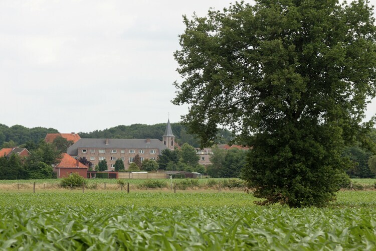 Maison Streekbossen : piscine et nature à Tessenderlo - Photo 32