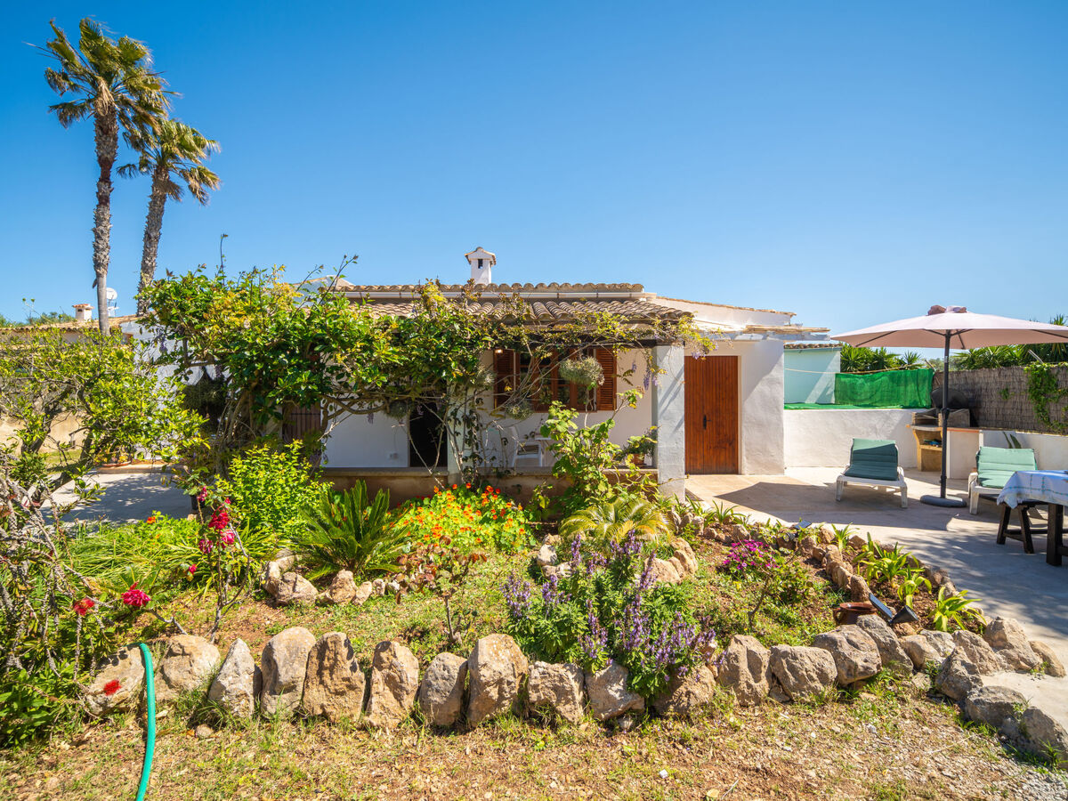 Can Niu, maison rustique rénovée à Pollença - Photo 2